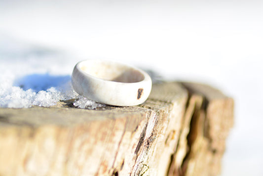 The antler ring - Pure forest