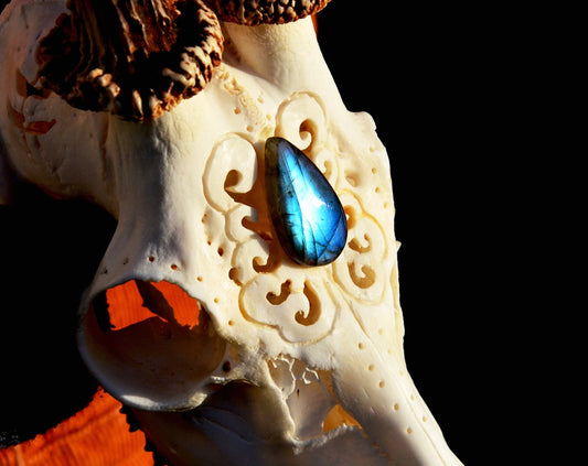 Engraved Roe Deer Skull with Labradorite Gemstone