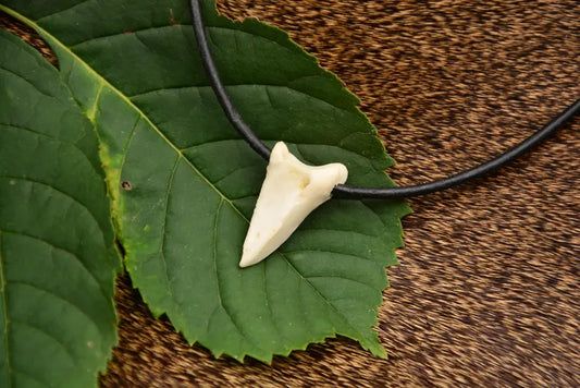 Roe Deer Hoof Bone Necklace – Primitive Forest Pendant