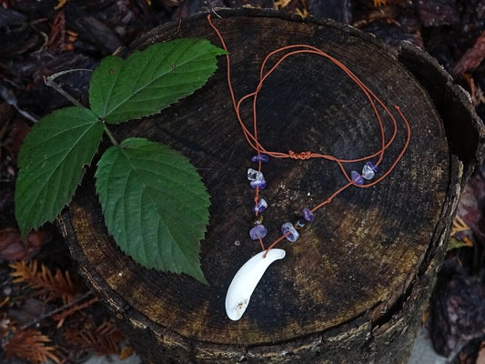 Amethyst Tooth Necklace