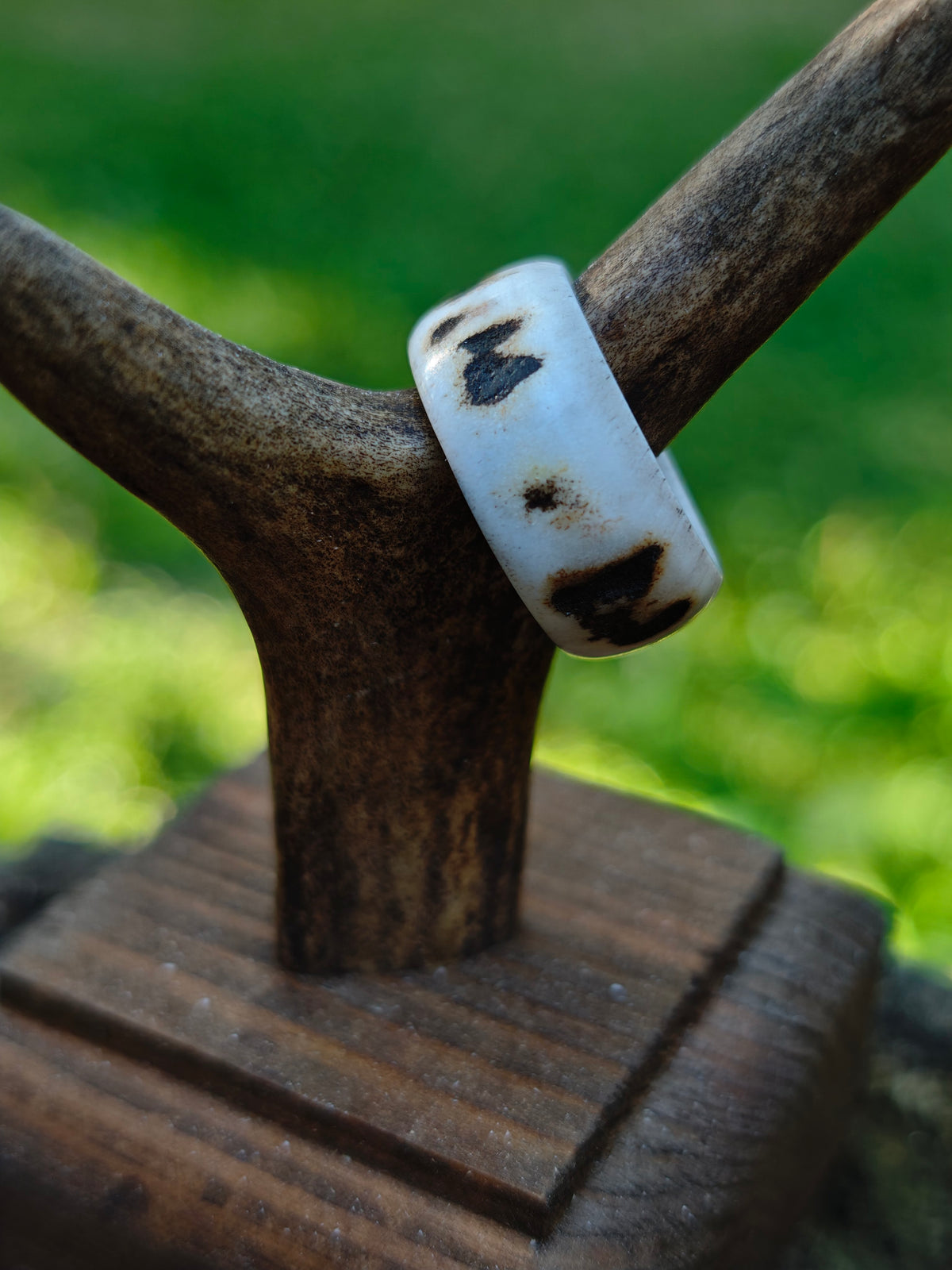 Antler Ring with Turquoise touch