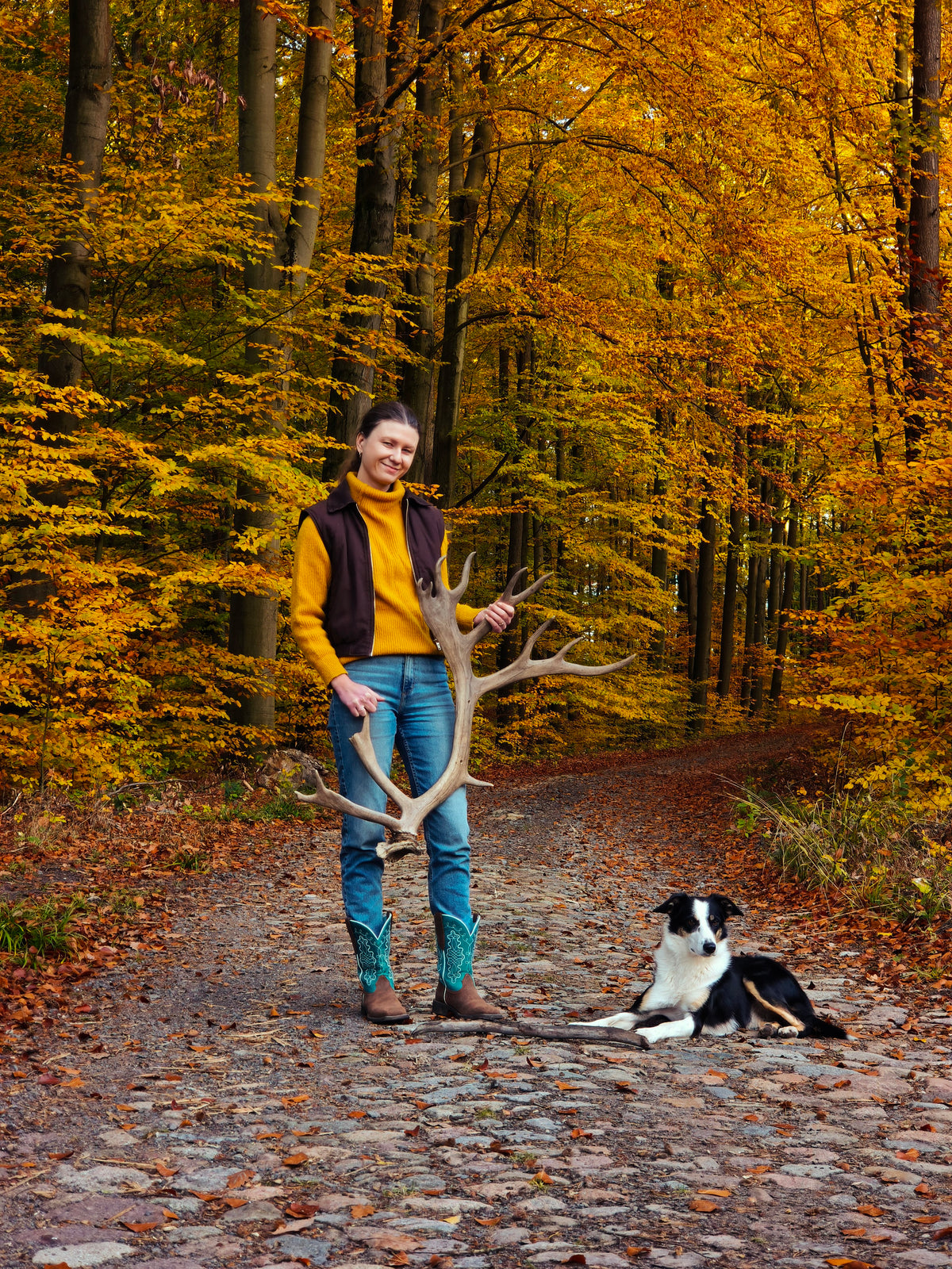 Huge reindeer antler