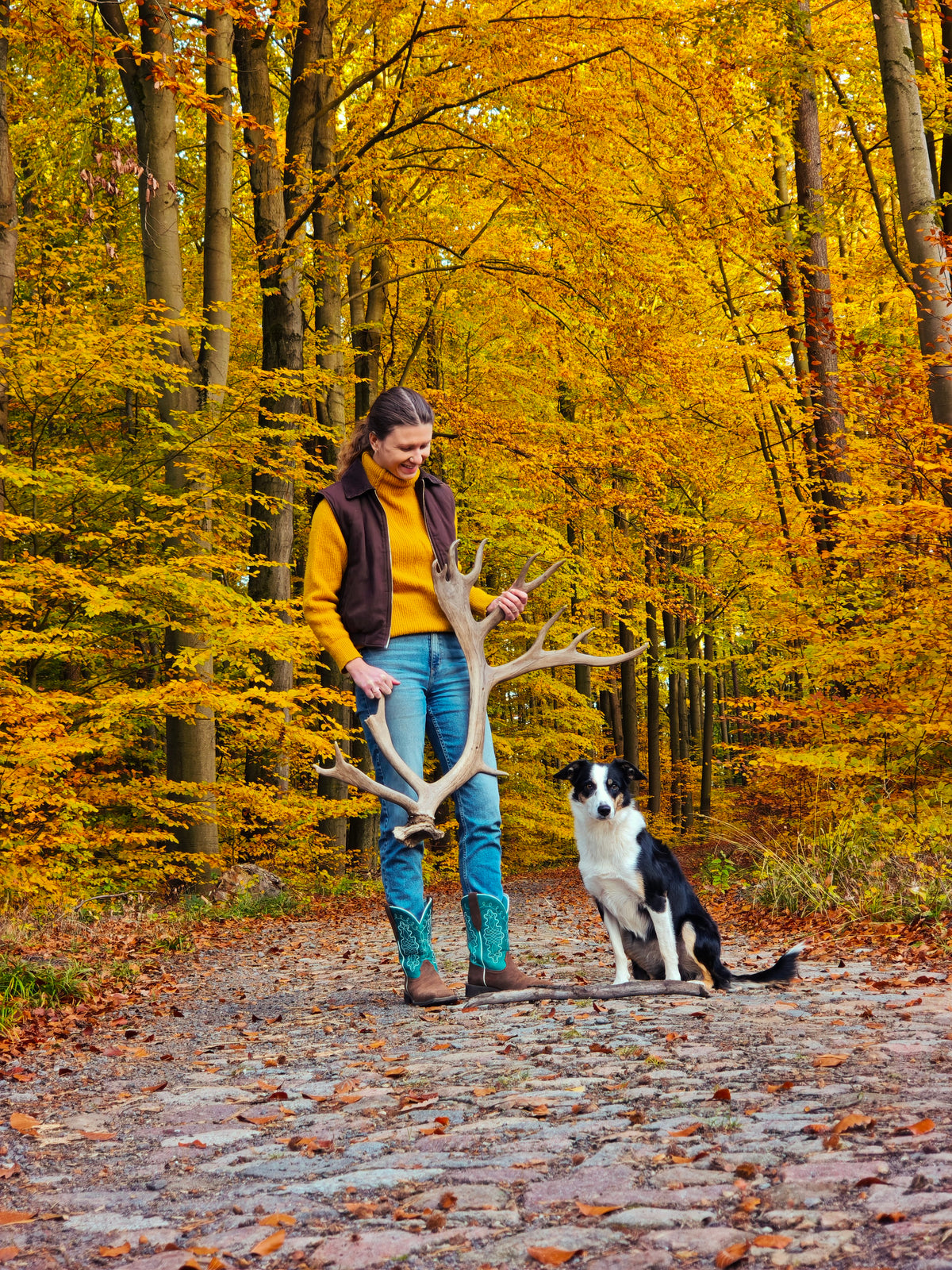 Huge reindeer antler