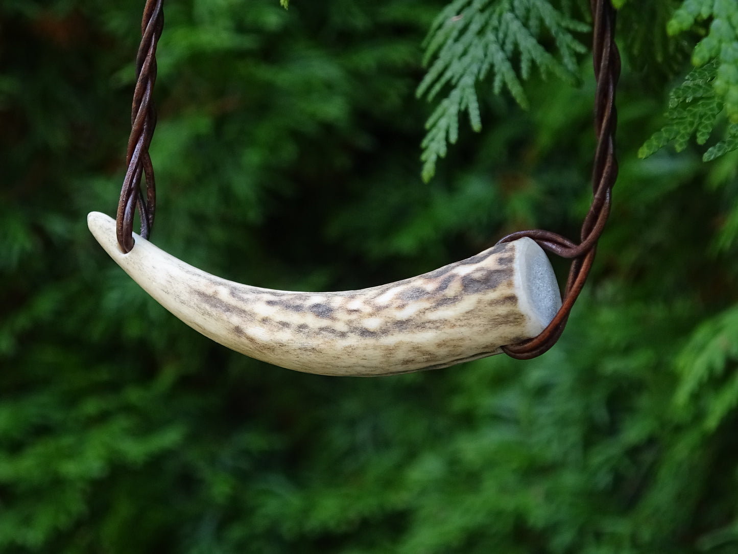 The Moonhunter Necklace