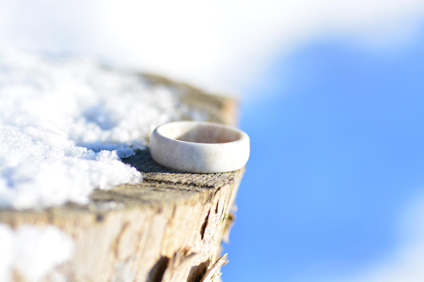 The antler ring - Pure forest