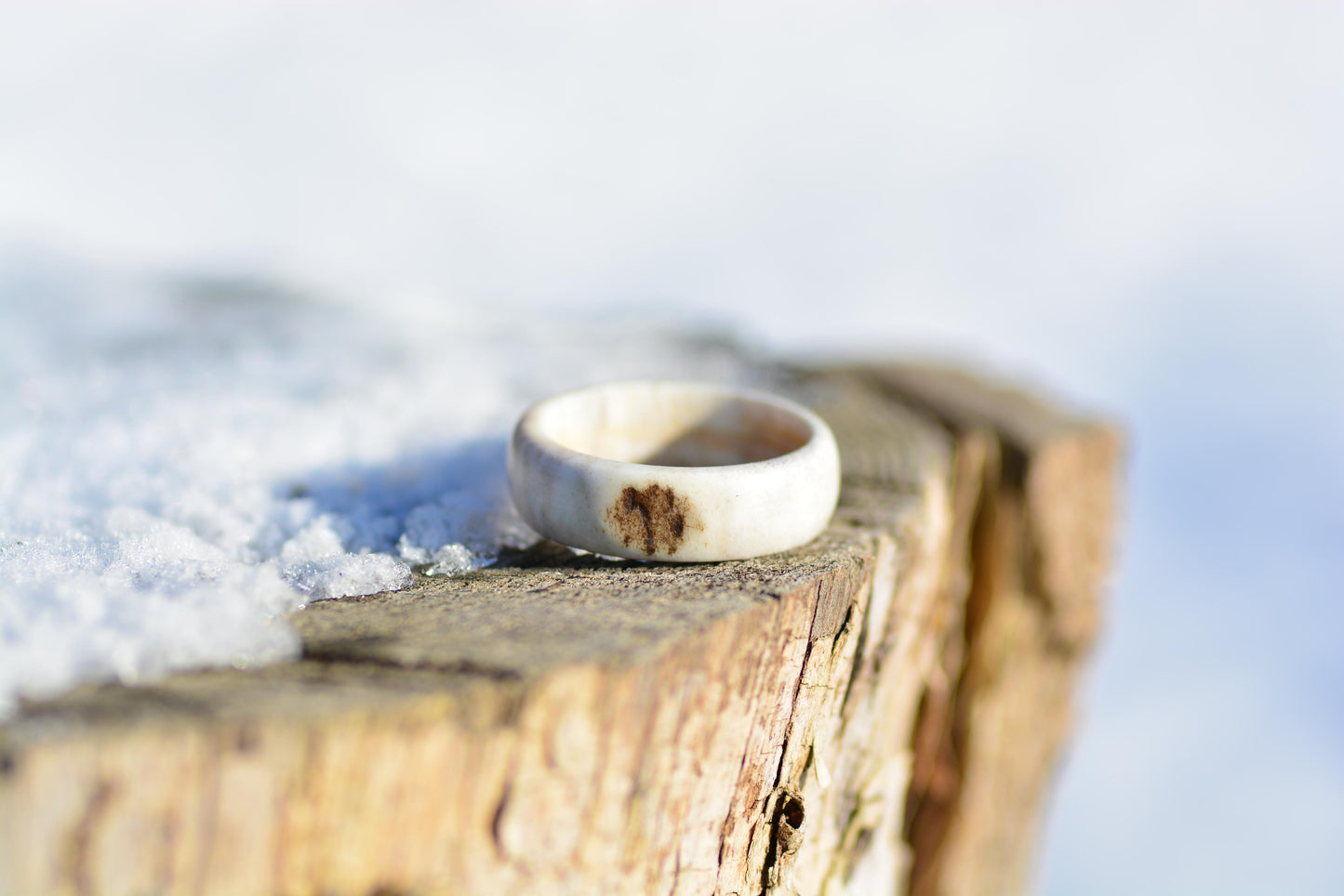 The antler ring - Pure forest