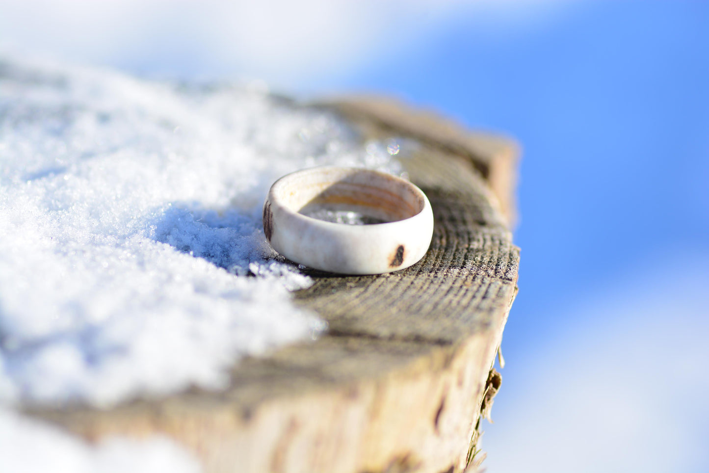 The antler ring - Pure forest