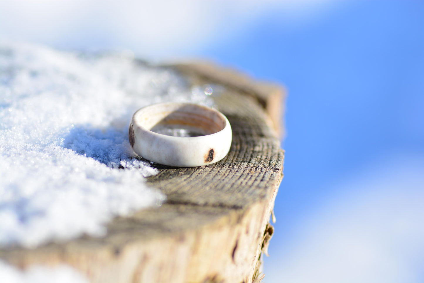 The antler ring - Pure forest