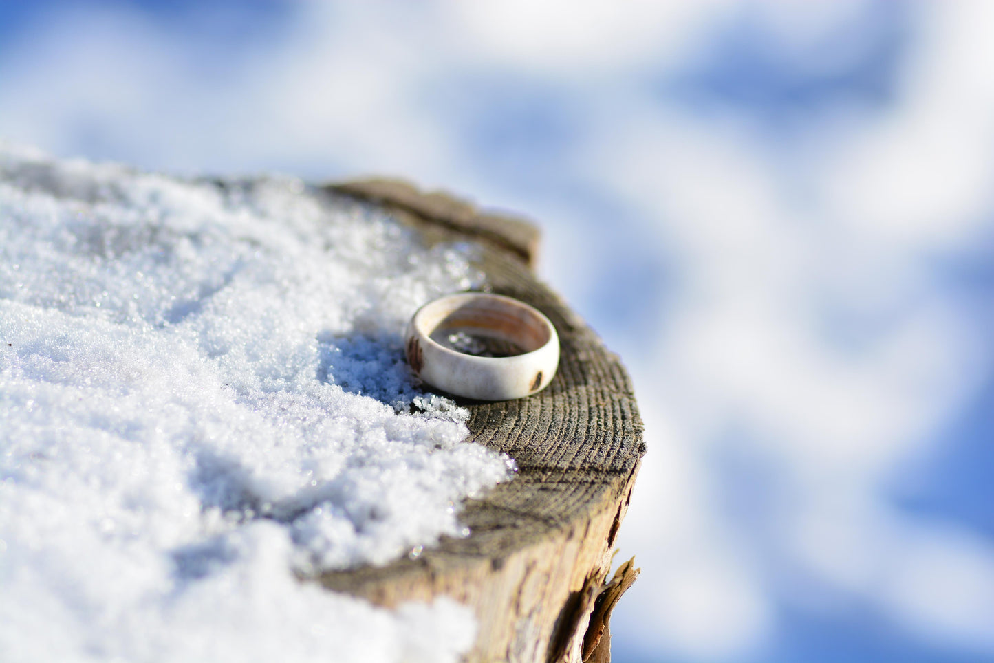 The antler ring - Pure forest