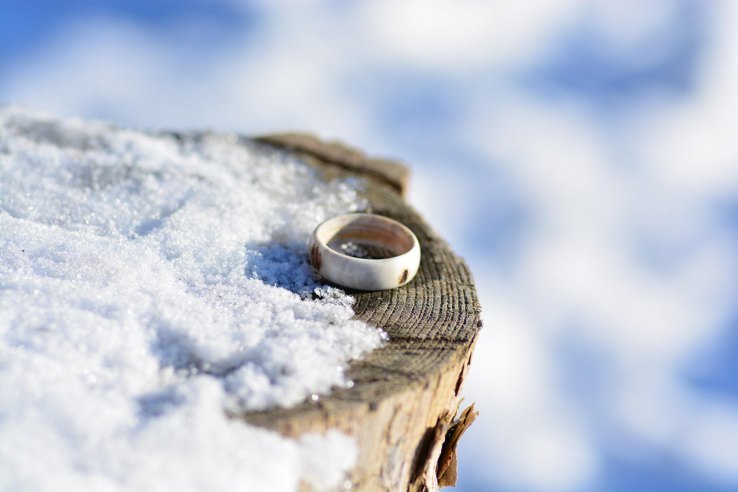 The antler ring - Pure forest