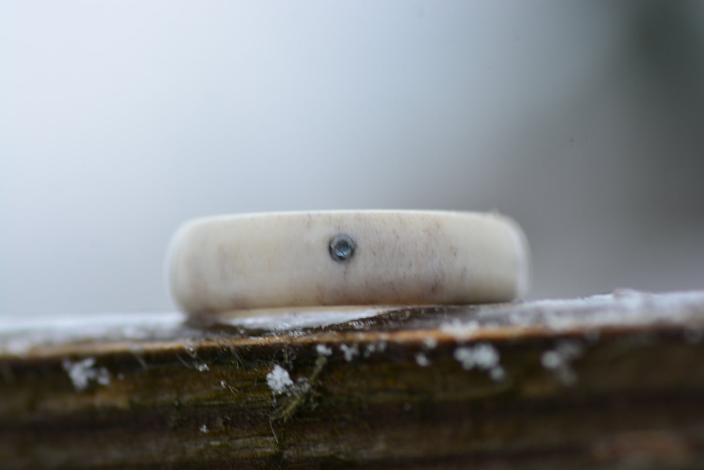 Antler ring with sapphire - The forest pond