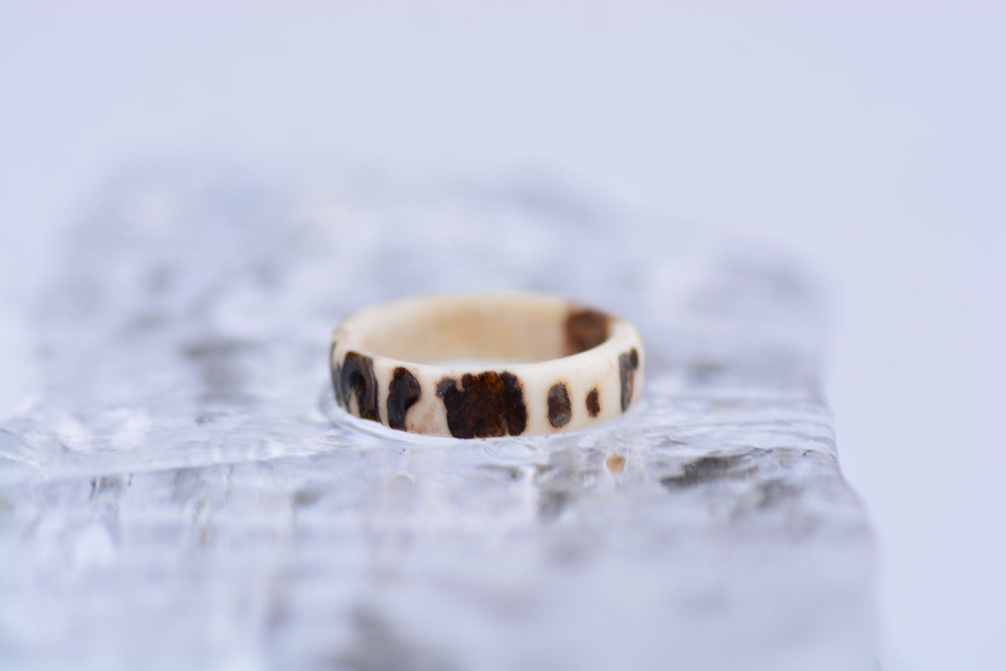 Antler ring - Raw nature
