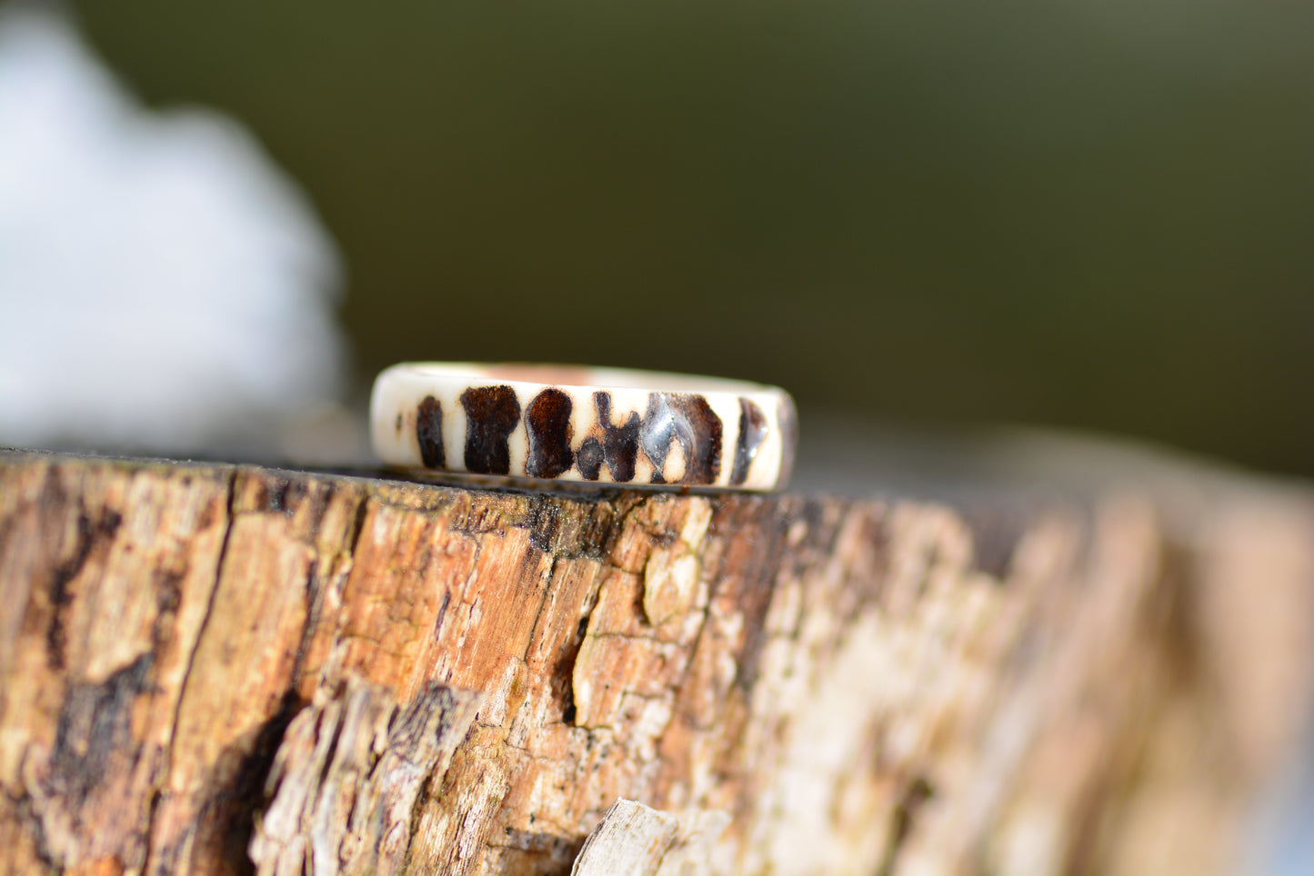 Antler ring - Raw nature