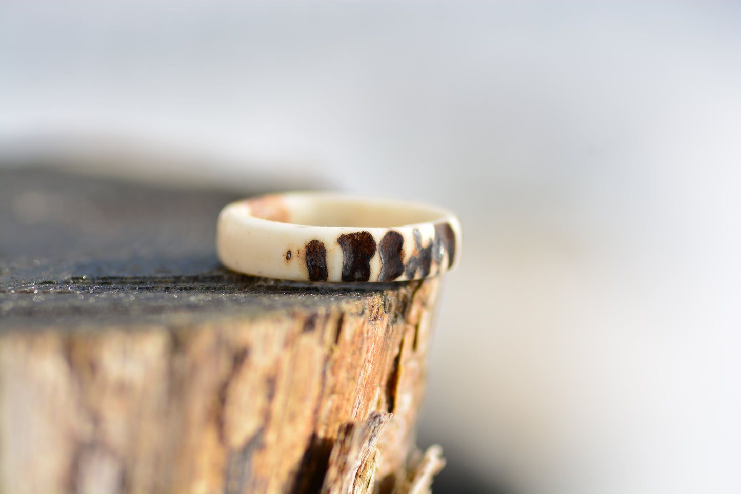 Antler ring - Raw nature