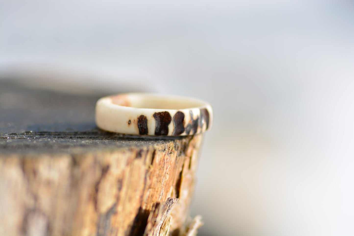 Antler ring - Raw nature