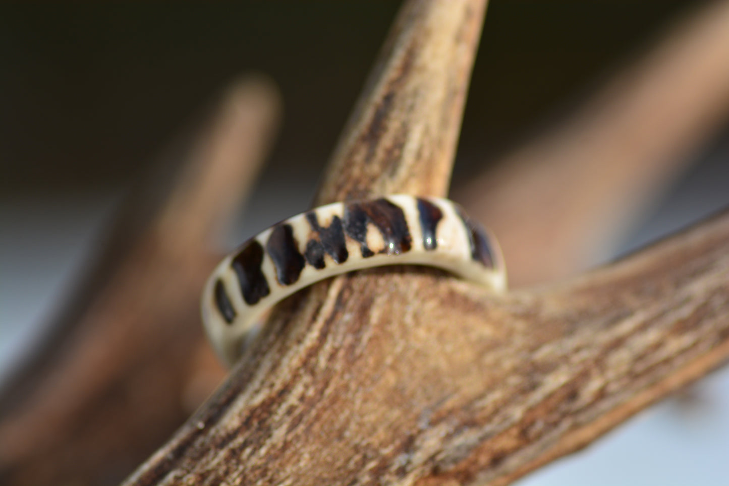 Antler ring - Raw nature