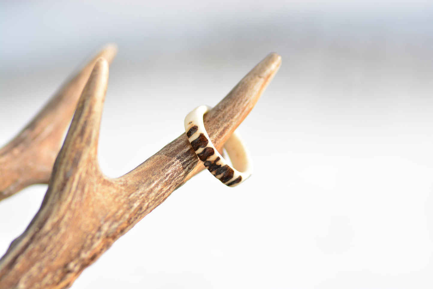 Antler ring - Raw nature