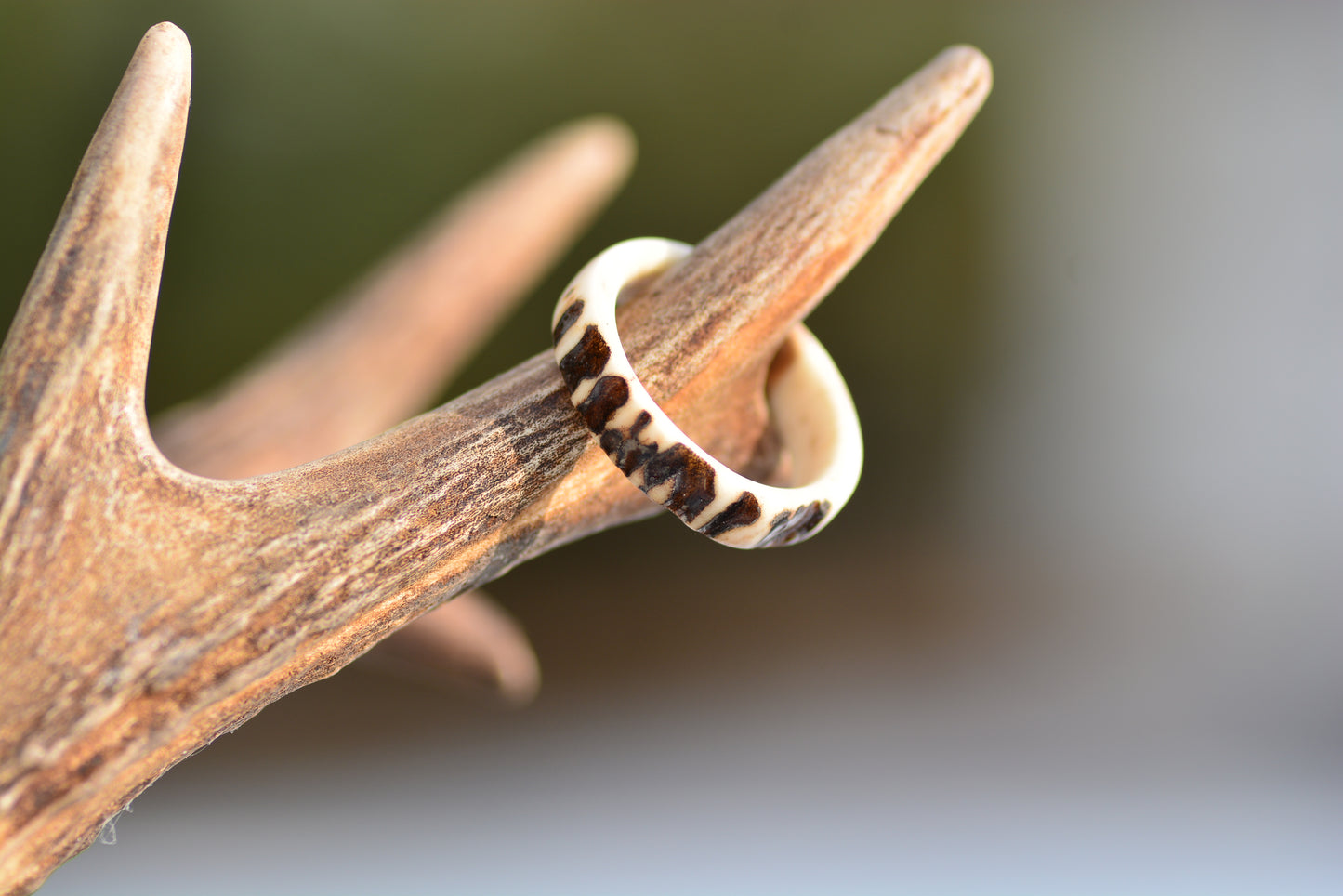Antler ring - Raw nature