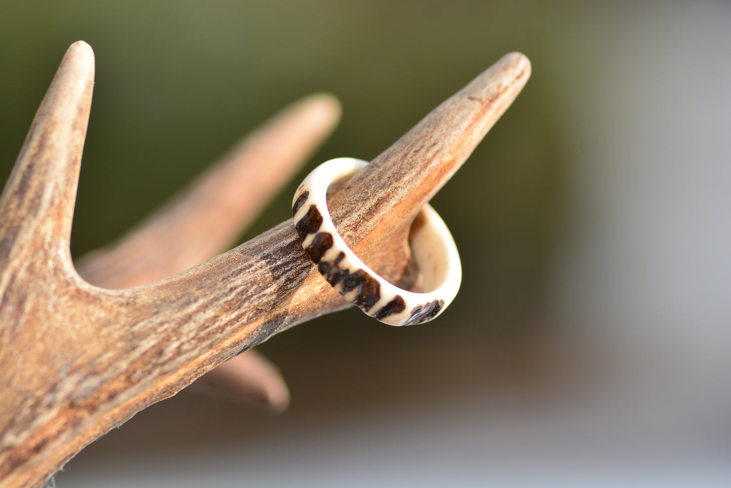 Antler ring - Raw nature