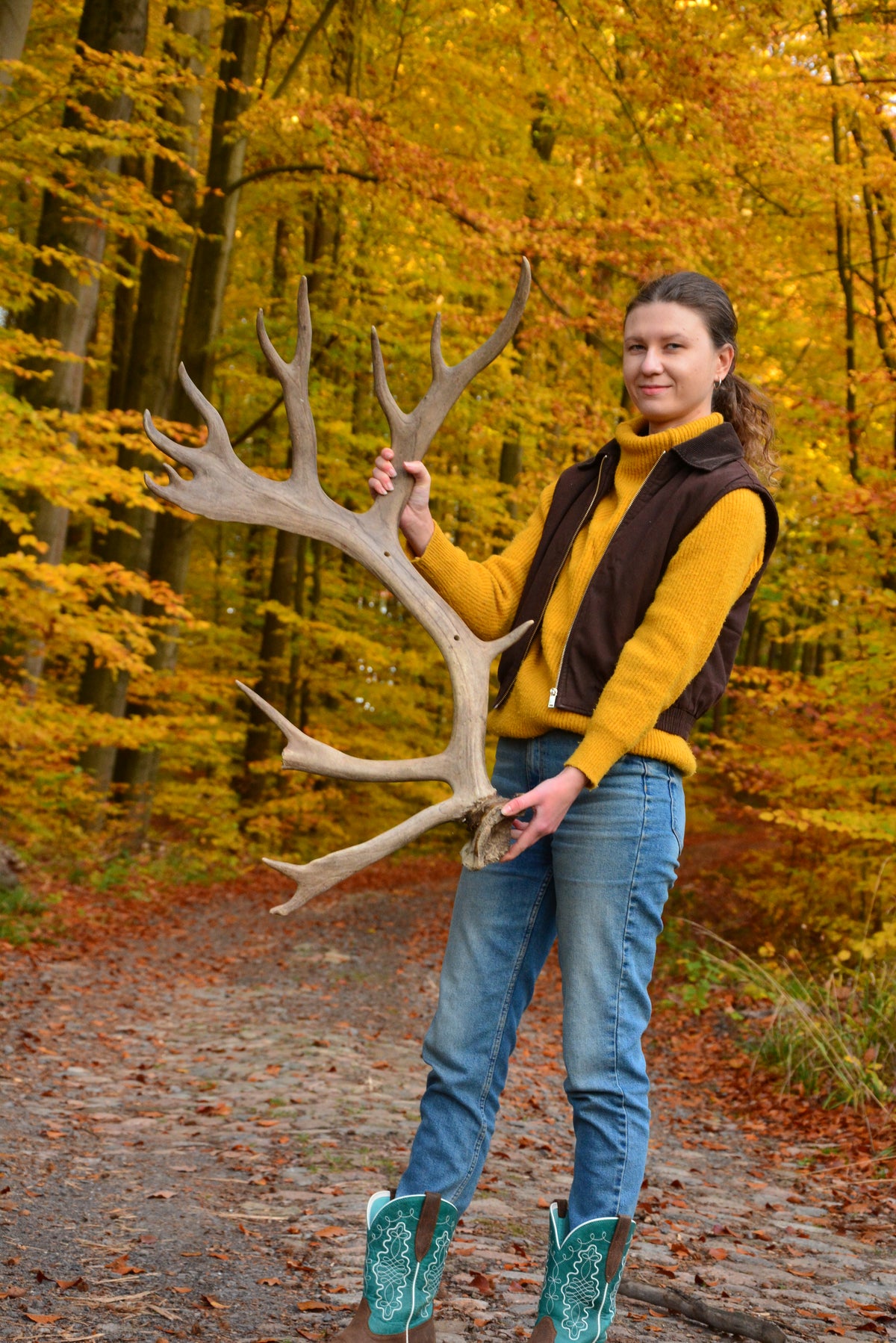 Huge reindeer antler