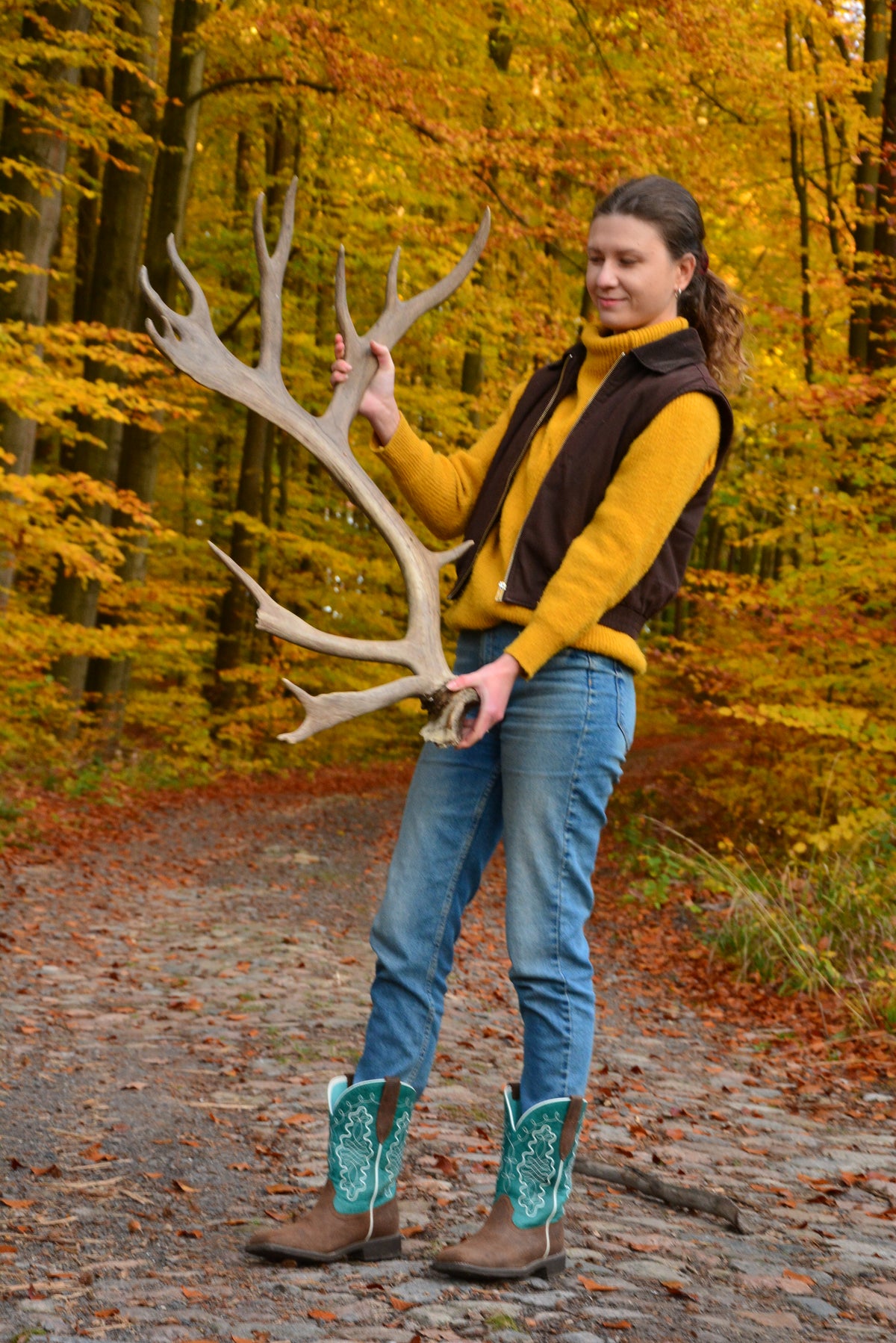 Huge reindeer antler