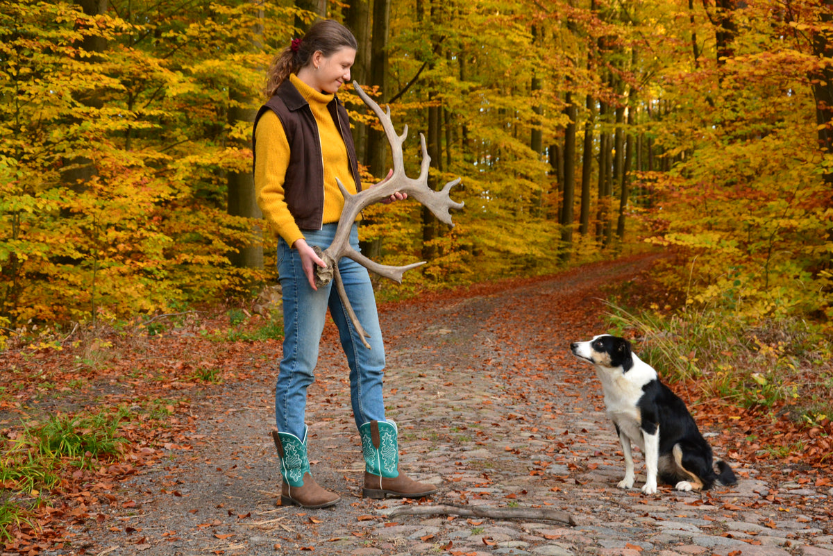 Huge reindeer antler