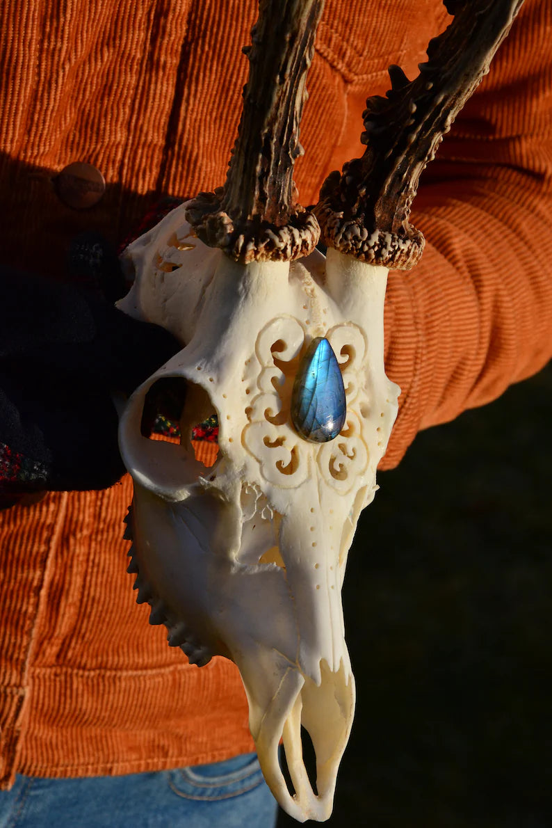 Engraved Roe Deer Skull with Labradorite Gemstone