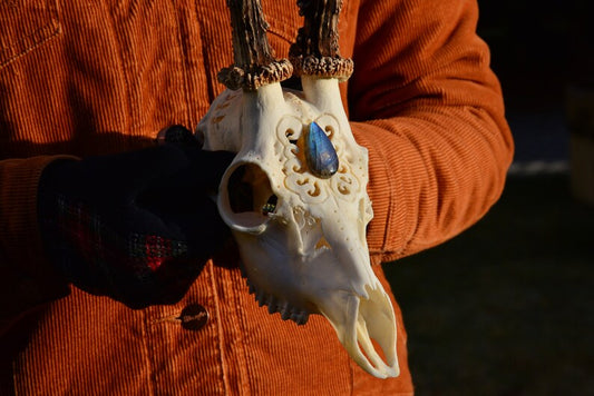 Engraved Roe Deer Skull with Labradorite Gemstone