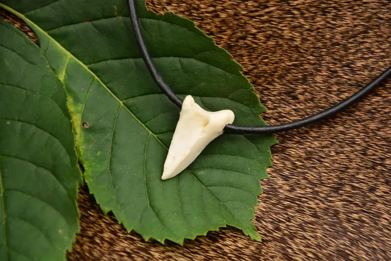 Roe Deer Hoof Bone Necklace – Primitive Forest Pendant