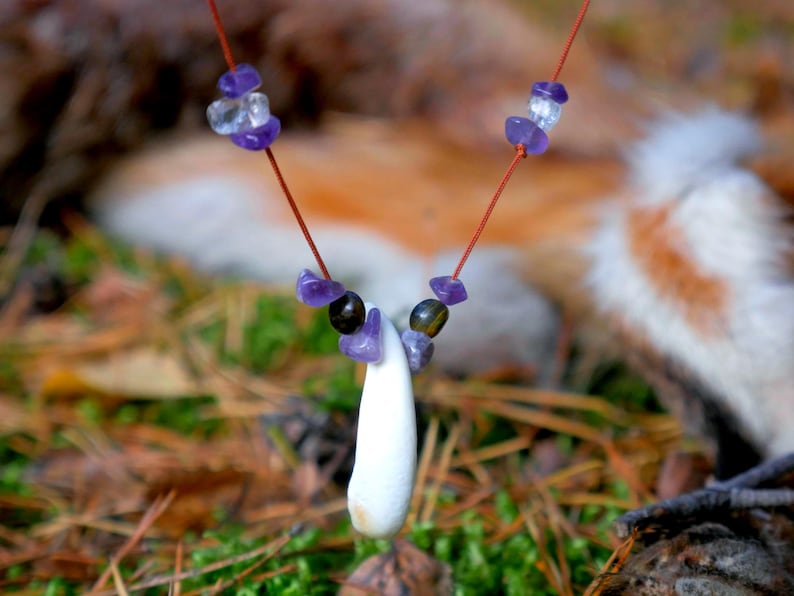Amethyst Tooth Necklace