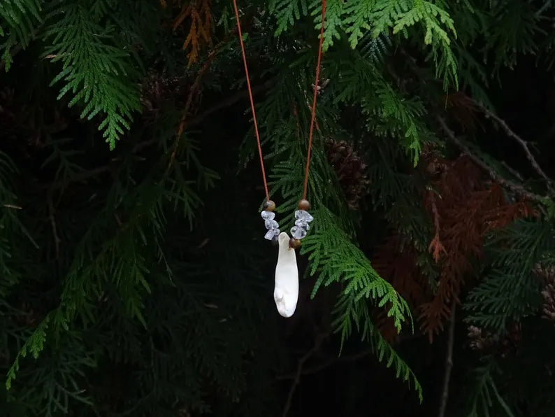 Crystal Eye - Tooth Necklace