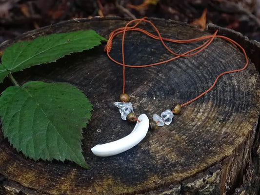 Crystal Eye - Tooth Necklace
