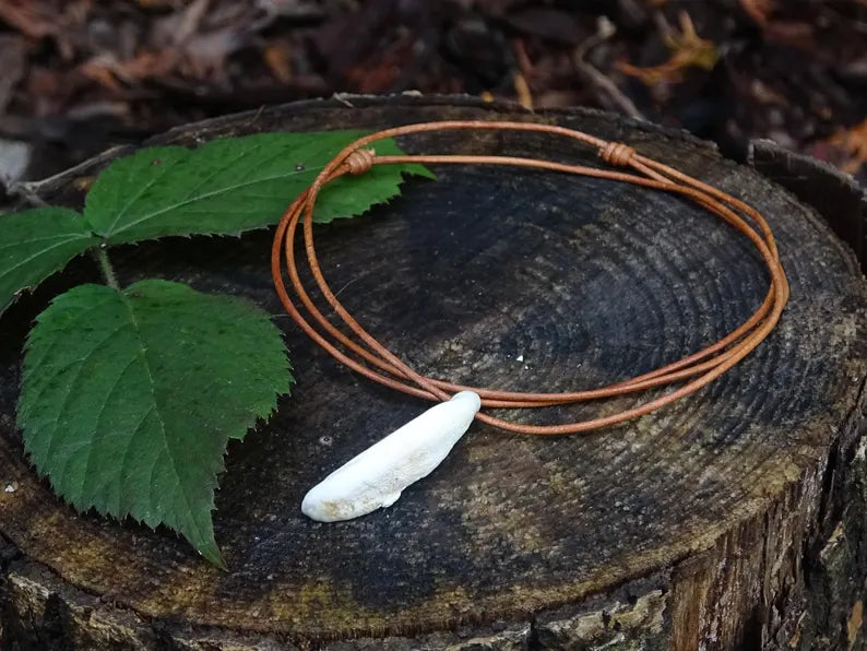 Real Tooth Necklace – Primitive Forest Talisman