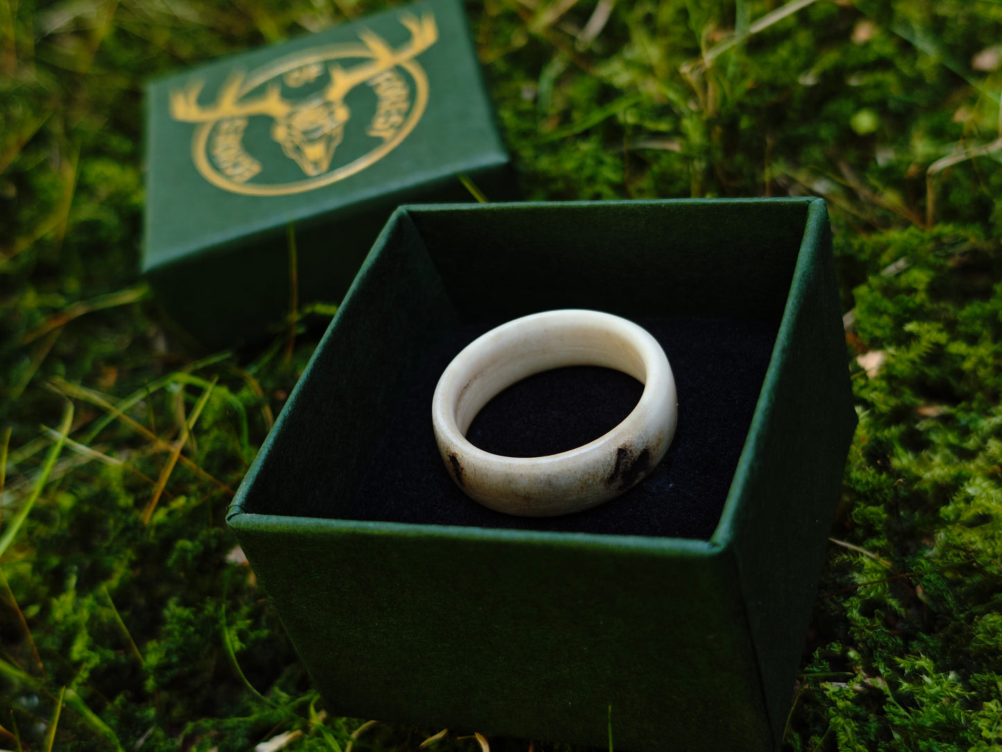 The antler ring in a gift box