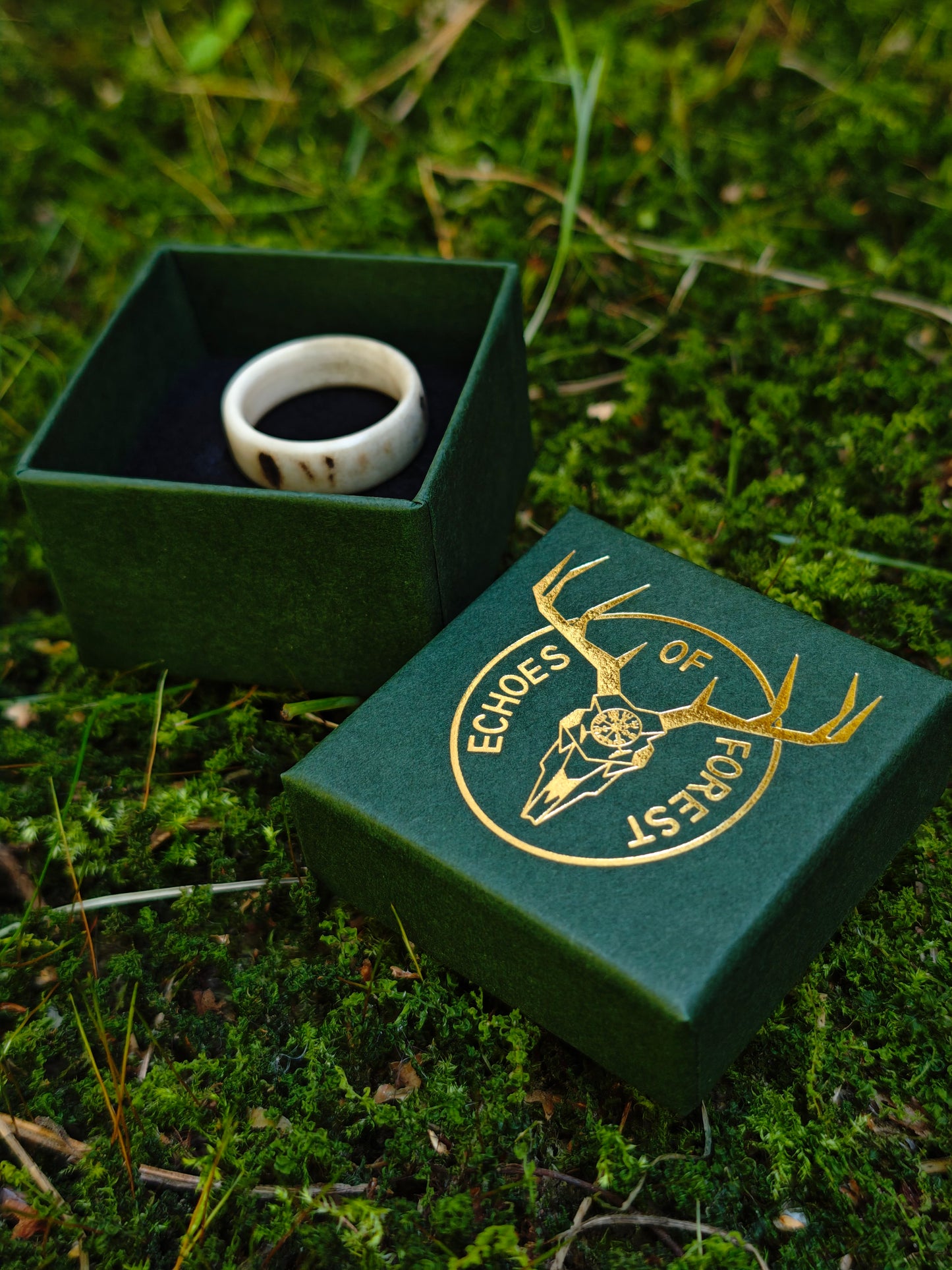 The antler ring in a gift box