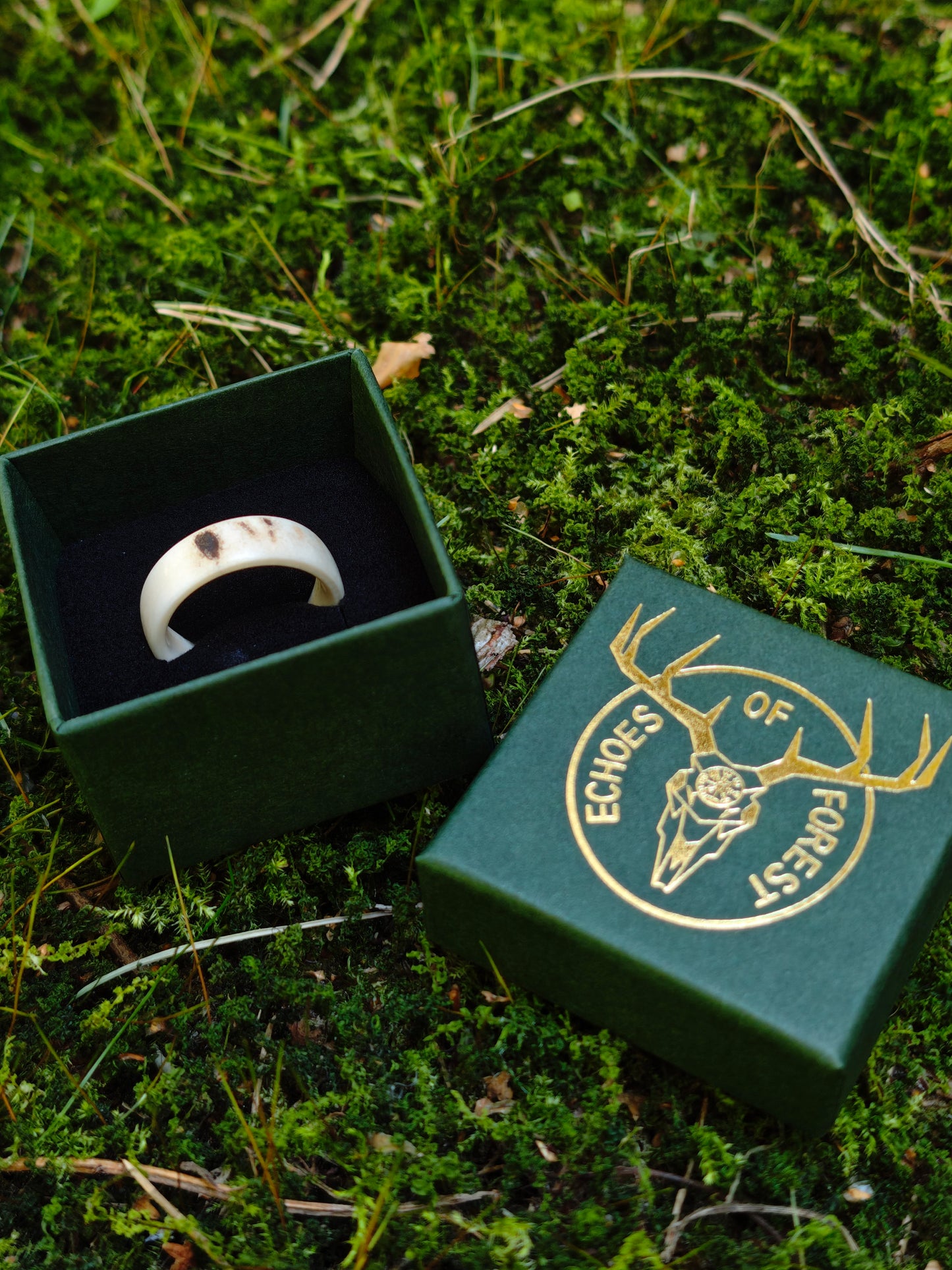 The antler ring in a gift box