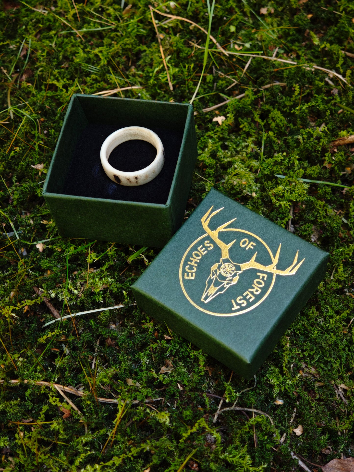 The antler ring in a gift box