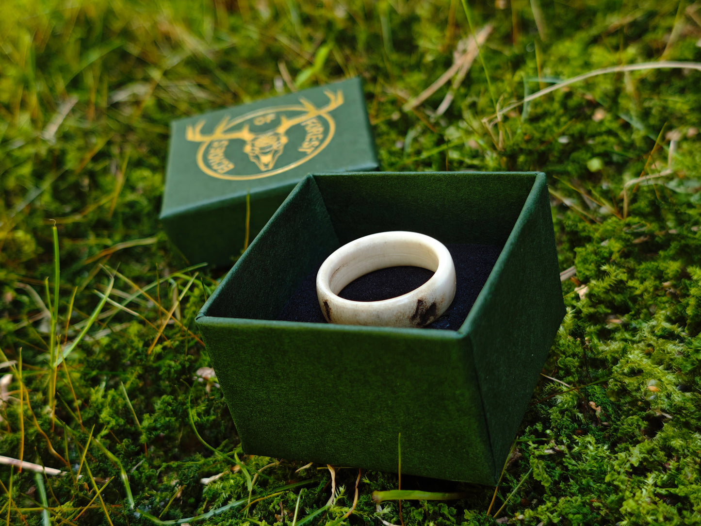 The antler ring in a gift box