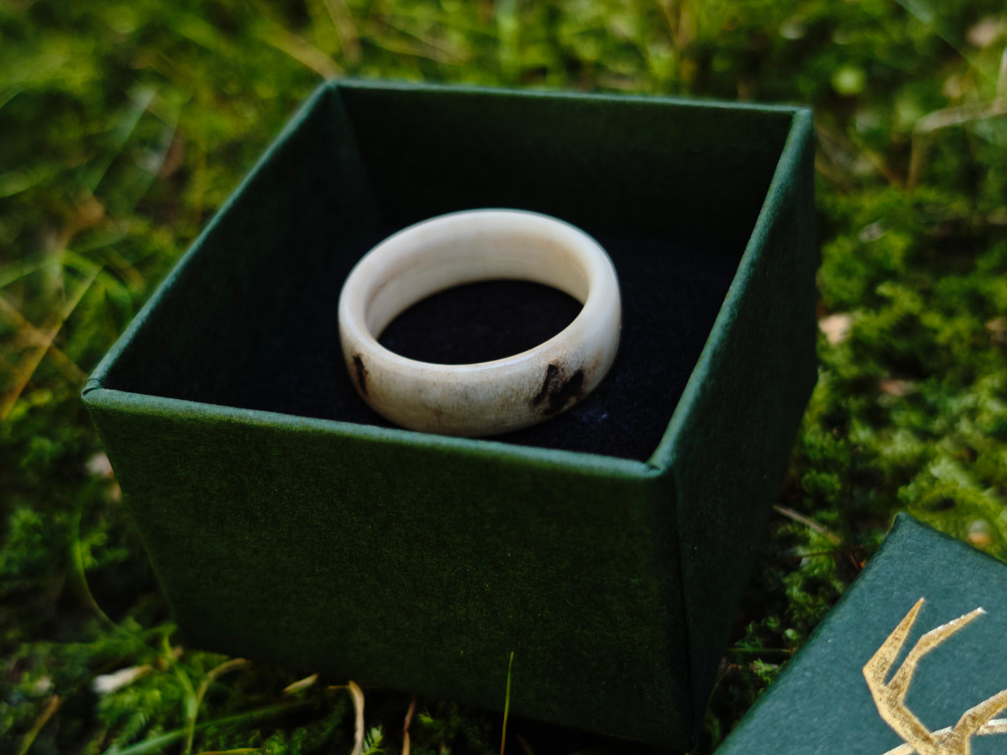 The antler ring in a gift box