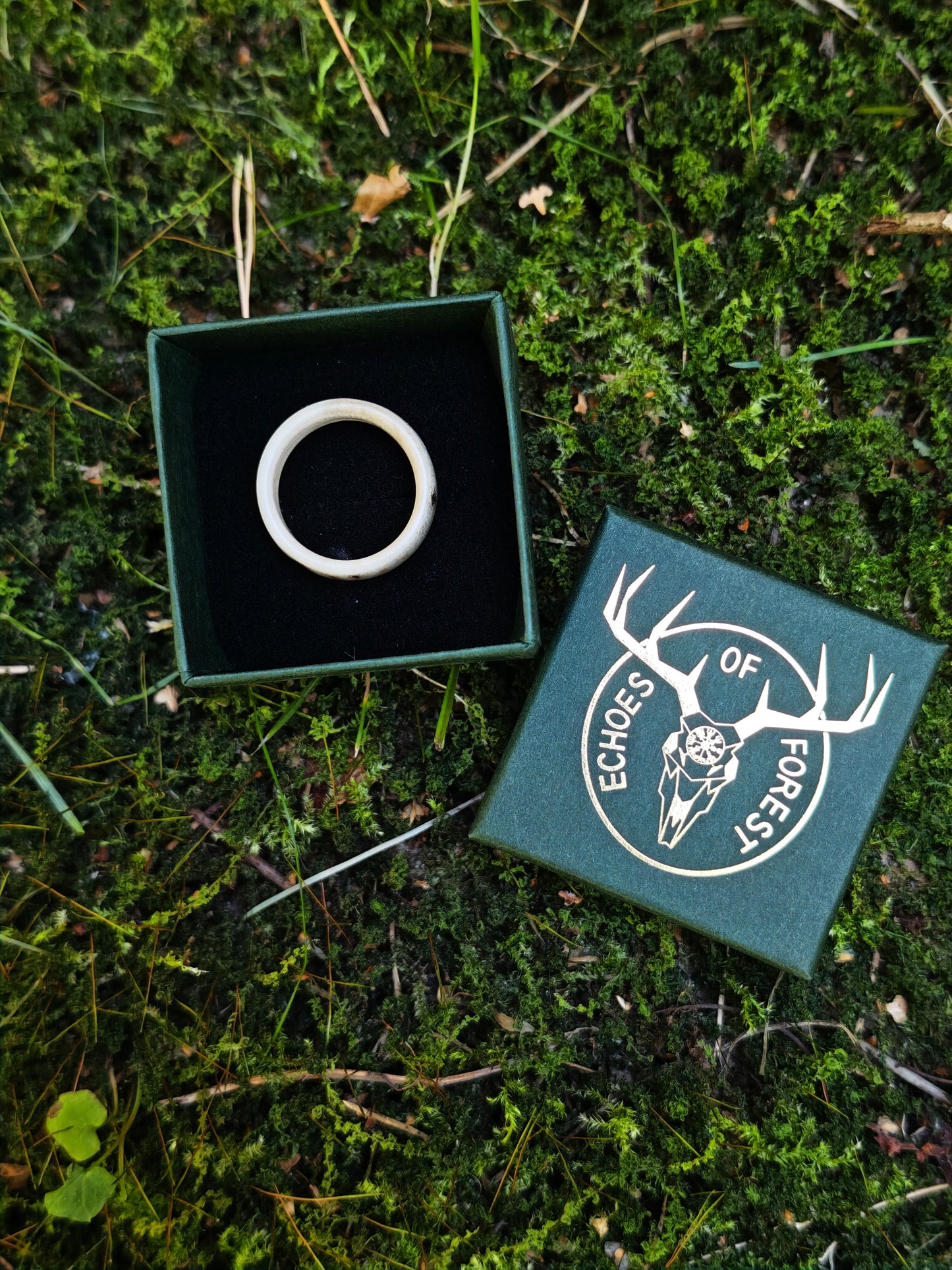 The antler ring in a gift box