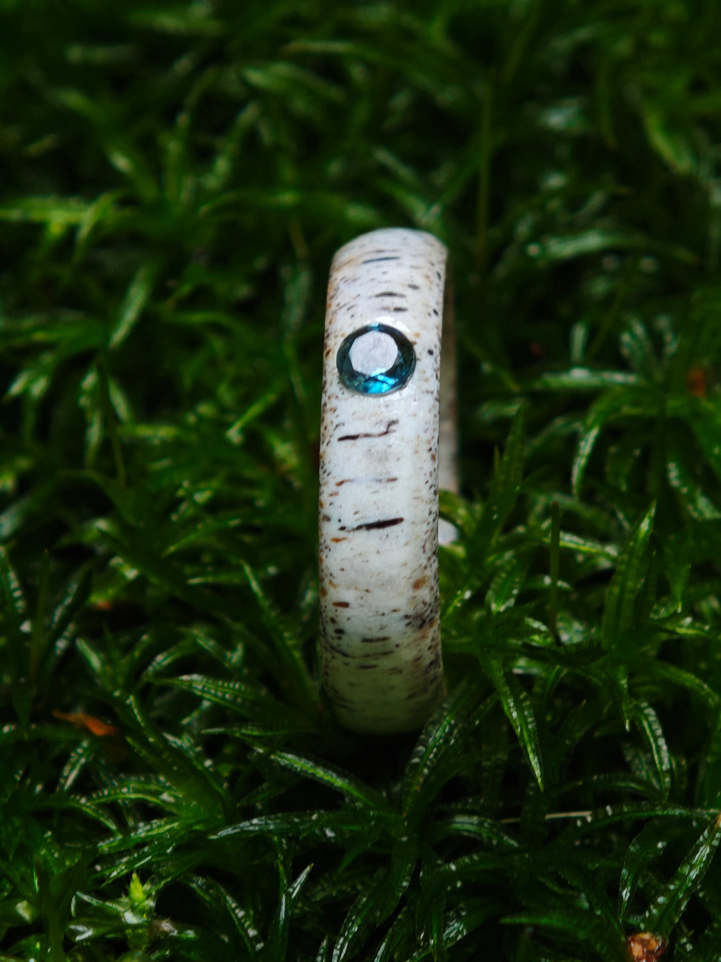 The antler ring with Blue Topaz in a gift box