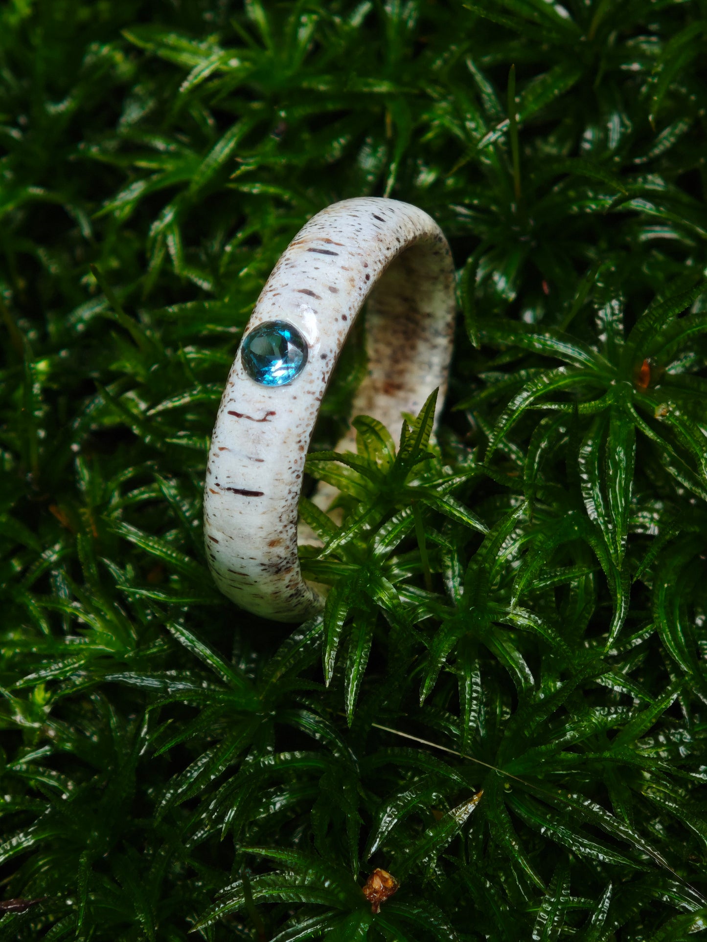 The antler ring with Blue Topaz in a gift box