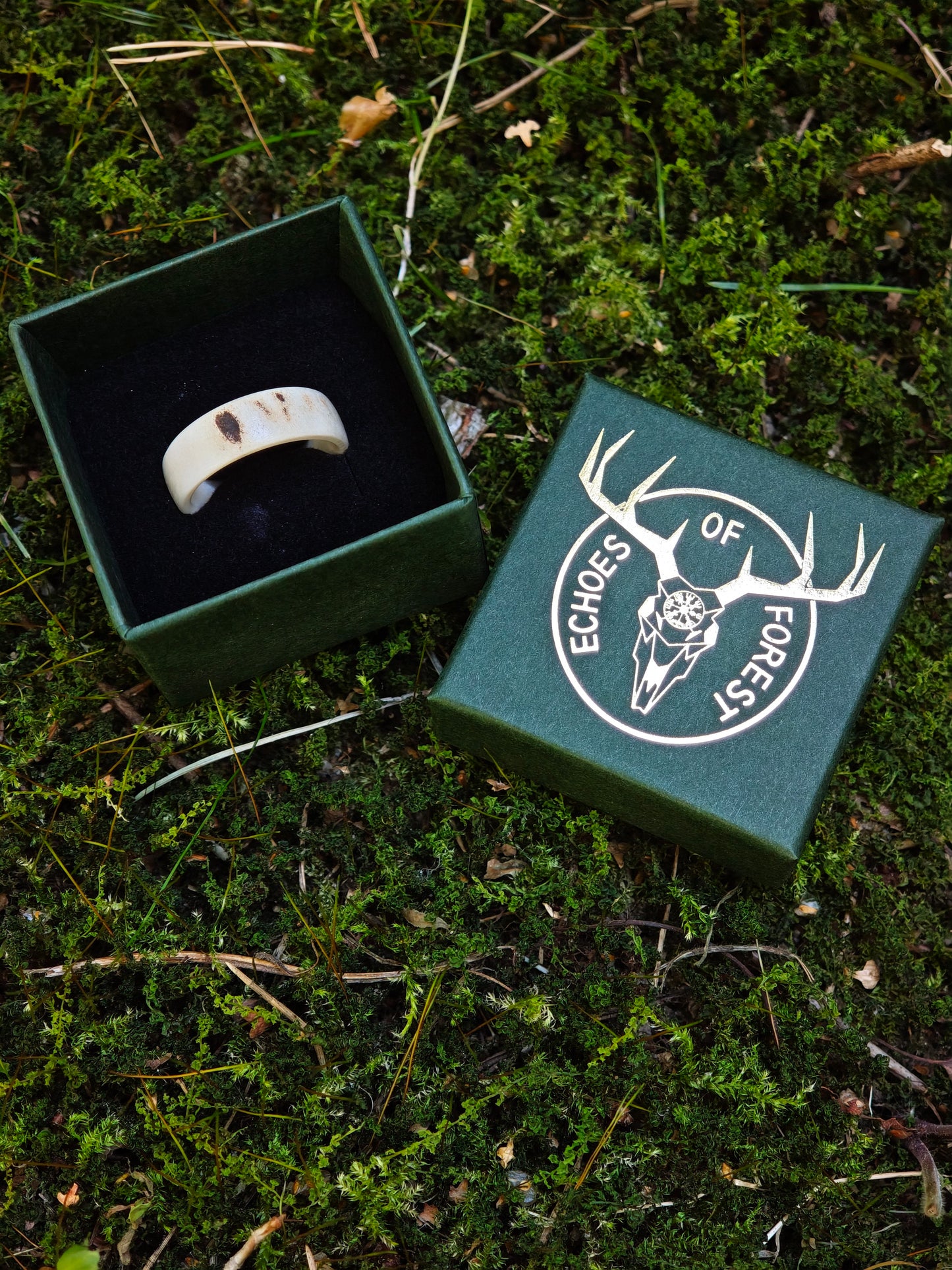 The antler ring in a gift box