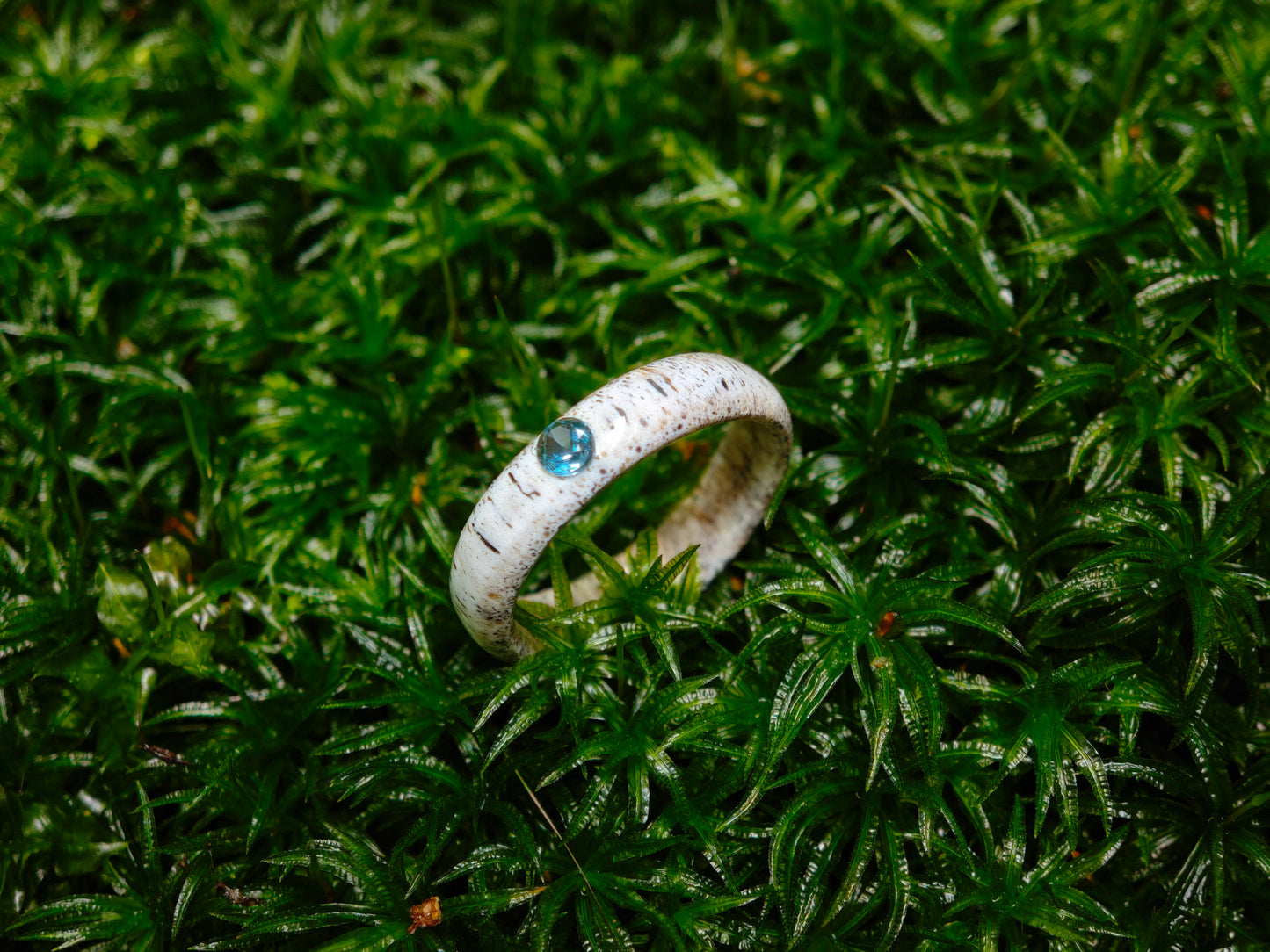 The antler ring with Blue Topaz in a gift box